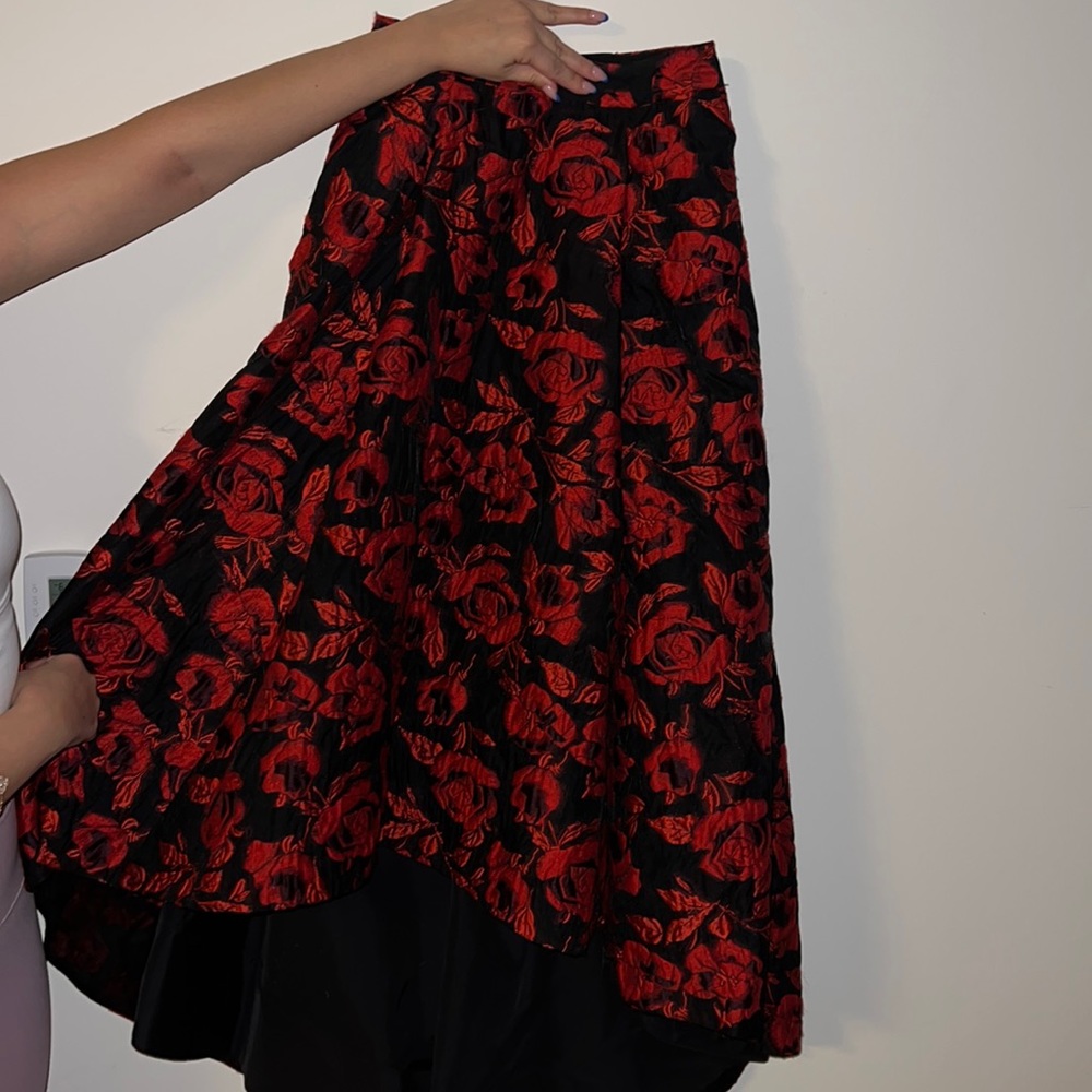 Alice and Olivia Skirt